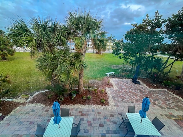 view of yard featuring a patio area