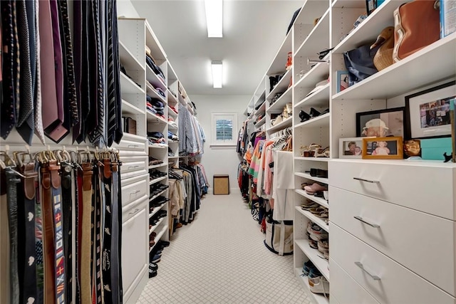 view of walk in closet