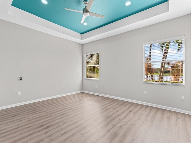 empty room featuring plenty of natural light, light hardwood / wood-style flooring, and a raised ceiling