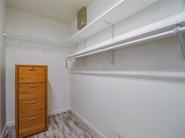 walk in closet with light wood-style floors