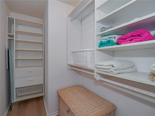 spacious closet featuring wood finished floors