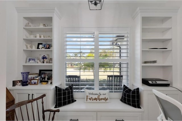 interior space with built in shelves