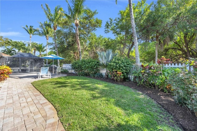 view of yard with a lanai and a patio area