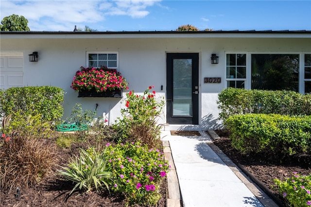 entrance to property with stucco siding