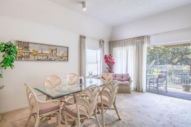 133 E Park Shores Cir Unit E6, Vero Beach, FL 32963 - photo 8