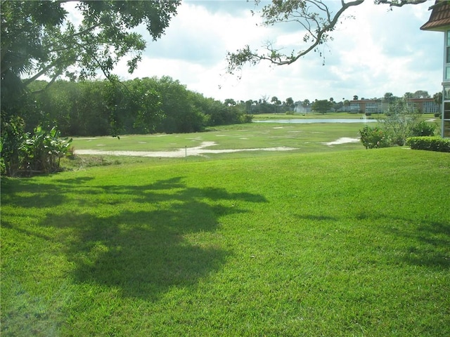 view of community with a lawn