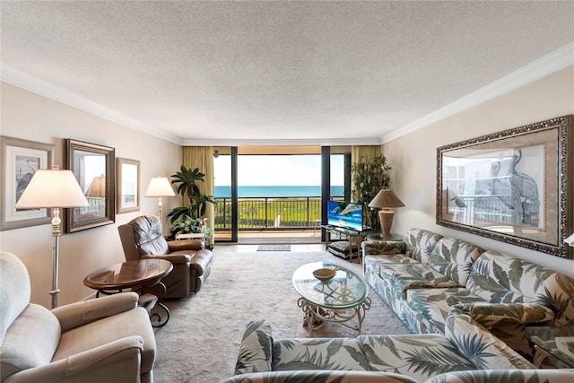 1480 Ocean Dr Unit 4C, Vero Beach, FL 32963 - carpeted living area with a textured ceiling, crown molding, and expansive windows