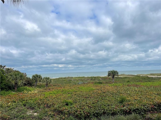 view of landscape featuring a water view