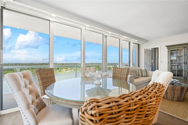 sunroom with plenty of natural light