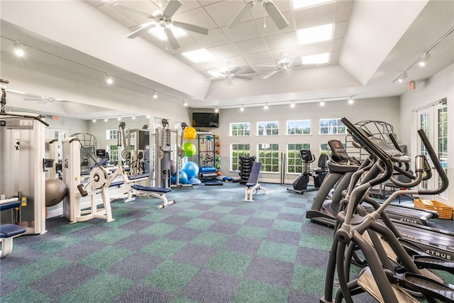 workout area with carpet floors and rail lighting