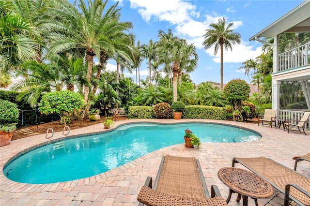 view of swimming pool with a patio area