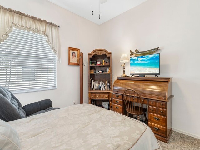 bedroom with carpet floors