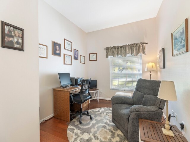 office with wood-type flooring