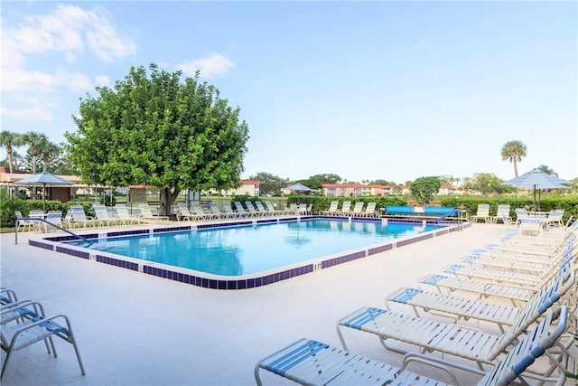 view of pool with a patio