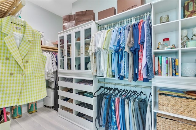 view of spacious closet