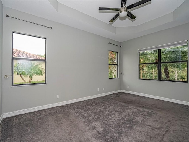 spare room with a wealth of natural light, a raised ceiling, and ceiling fan