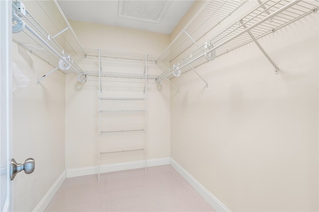 view of walk in closet