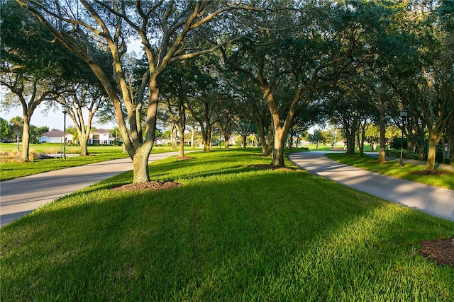 view of property's community featuring a yard