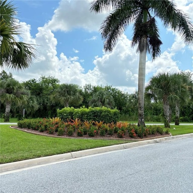 view of road with curbs