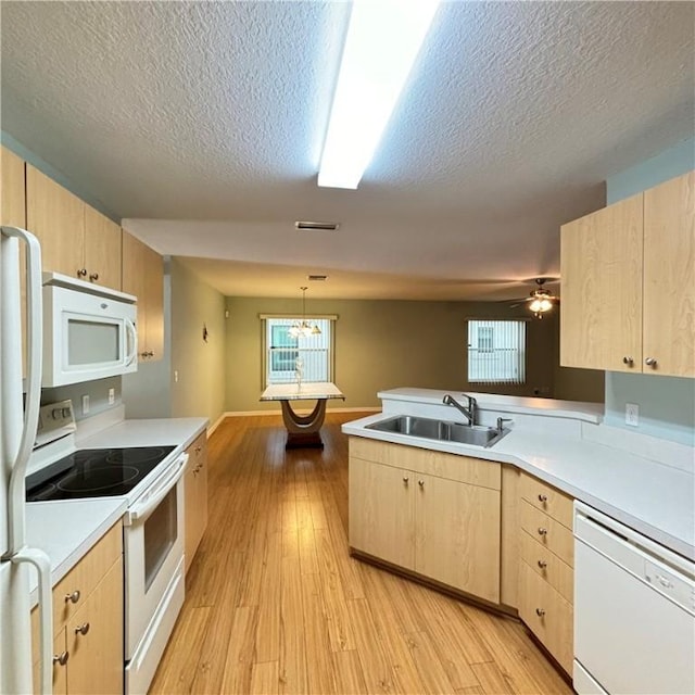 kitchen with white appliances, light brown cabinets, and a sink