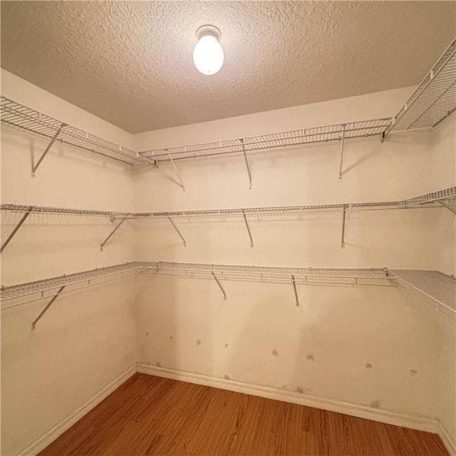 walk in closet with wood finished floors