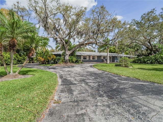 view of front facade featuring driveway and a front lawn