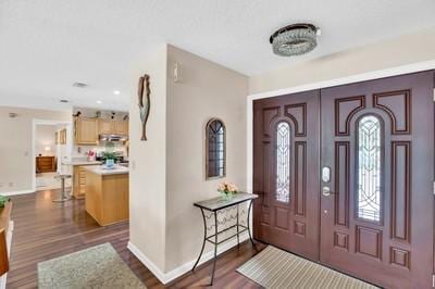 foyer entrance with dark wood-type flooring