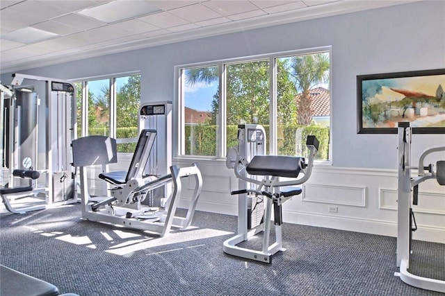 gym with a wainscoted wall and carpet floors