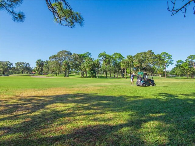 view of property's community with a yard