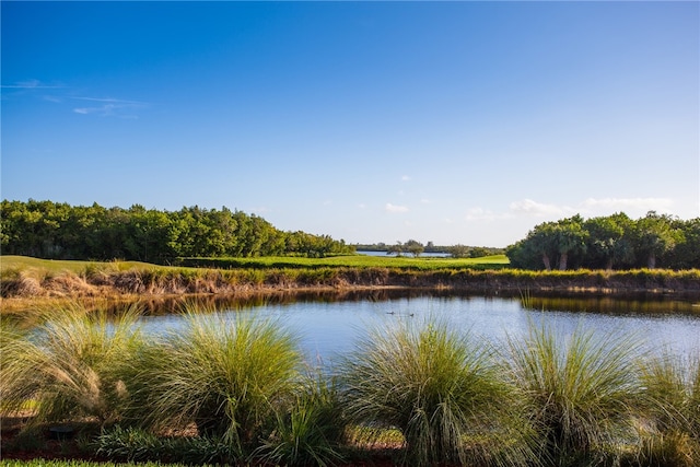 property view of water