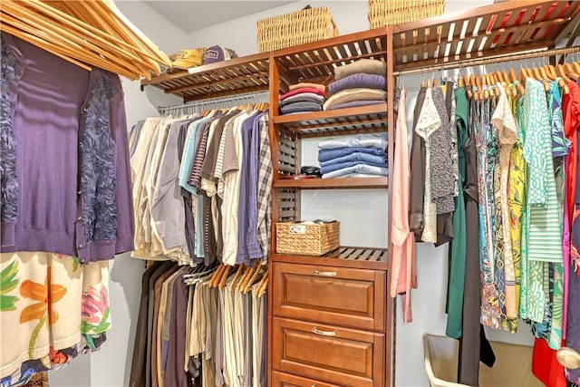 view of spacious closet