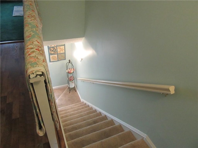 stairs with carpet floors