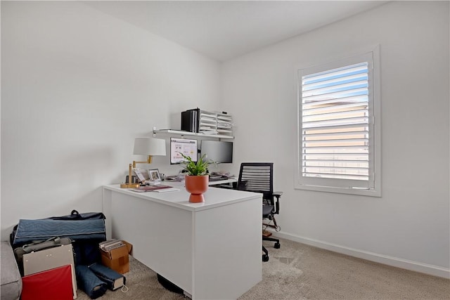 office featuring light carpet