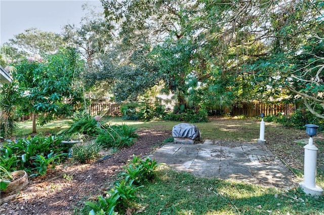 view of yard with a patio area