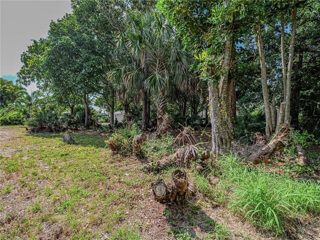 445 9th Ct, Vero Beach, FL 32962 - photo 5