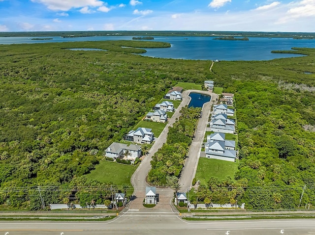 bird's eye view with a water view