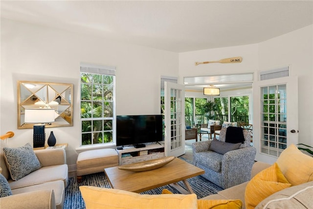 living room featuring french doors and hardwood / wood-style flooring