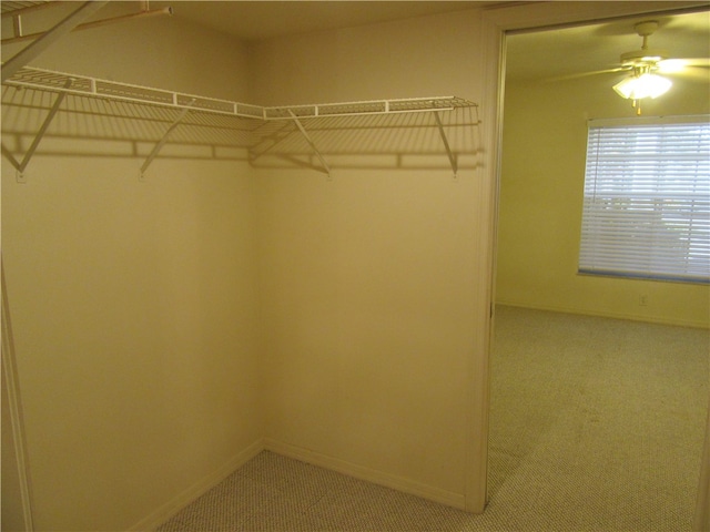 walk in closet featuring ceiling fan and carpet