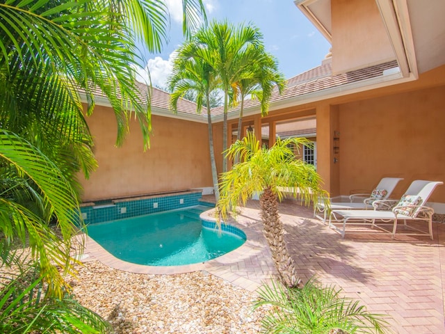 view of swimming pool with a patio area