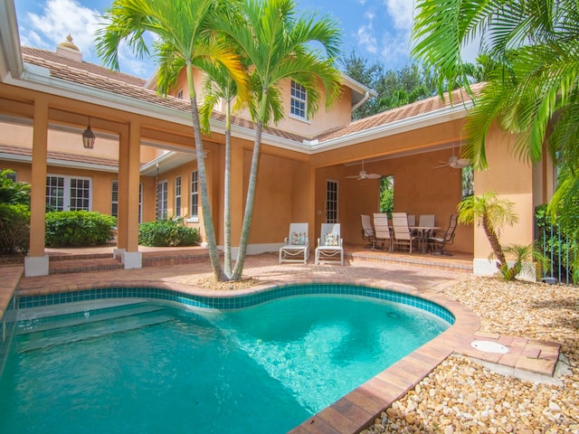 view of pool featuring a patio area and ceiling fan