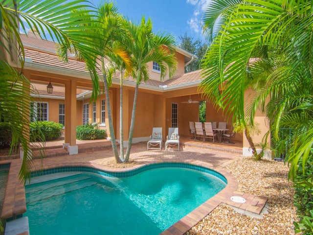 view of pool with a patio area and ceiling fan