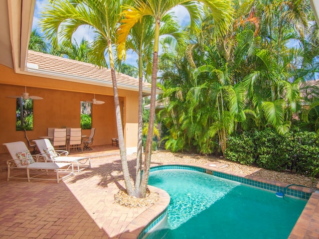 9082 Castle Harbour Cir, Vero Beach, FL 32963 - outdoor pool featuring ceiling fan and a patio