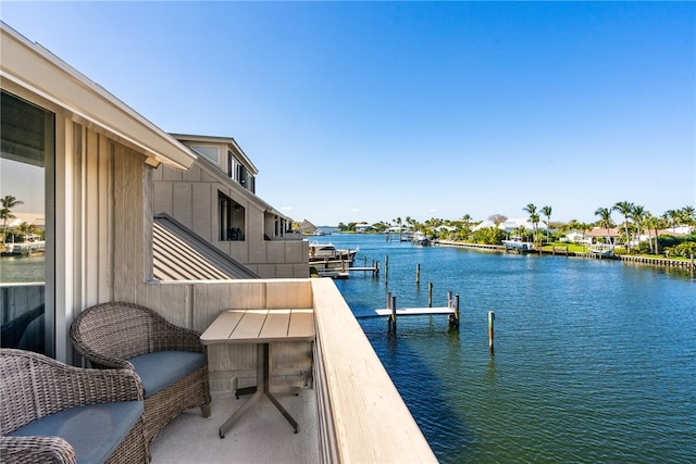 dock area with a water view