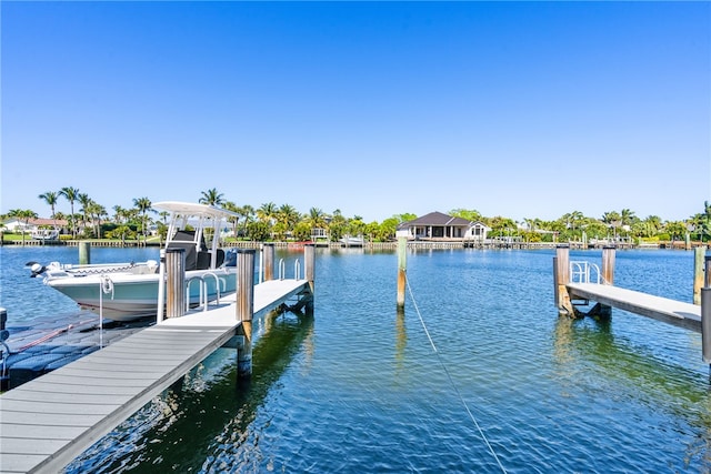 dock area with a water view