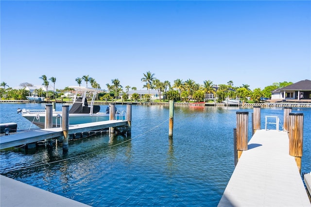 dock area with a water view