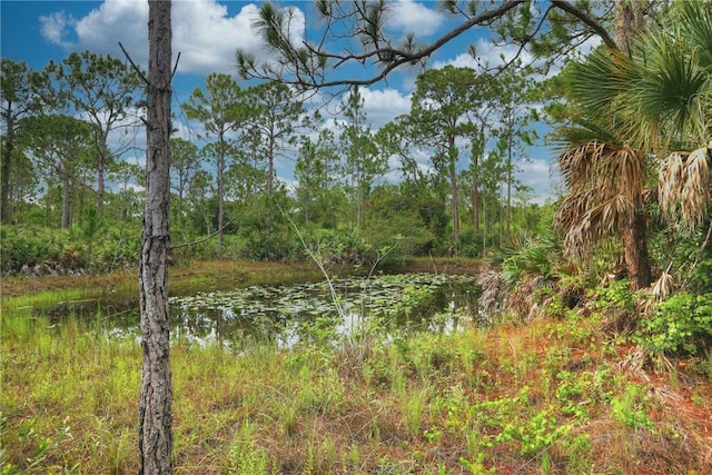 view of local wilderness with a water view