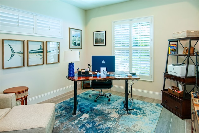 office space featuring a wealth of natural light and light wood-type flooring