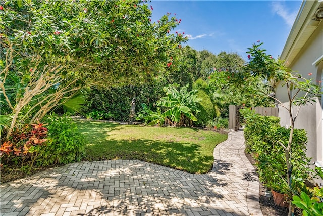 view of yard featuring a patio area and fence