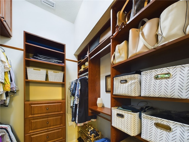 view of spacious closet