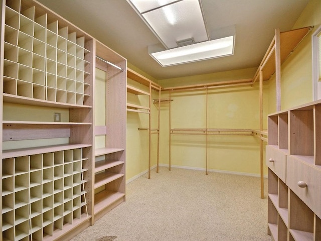 walk in closet featuring carpet floors